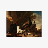 A Hen with Peacocks and a Turkey by Melchior d'Hondecoeter - thumbnail_0_nf_66fc50b68213847b6f357958